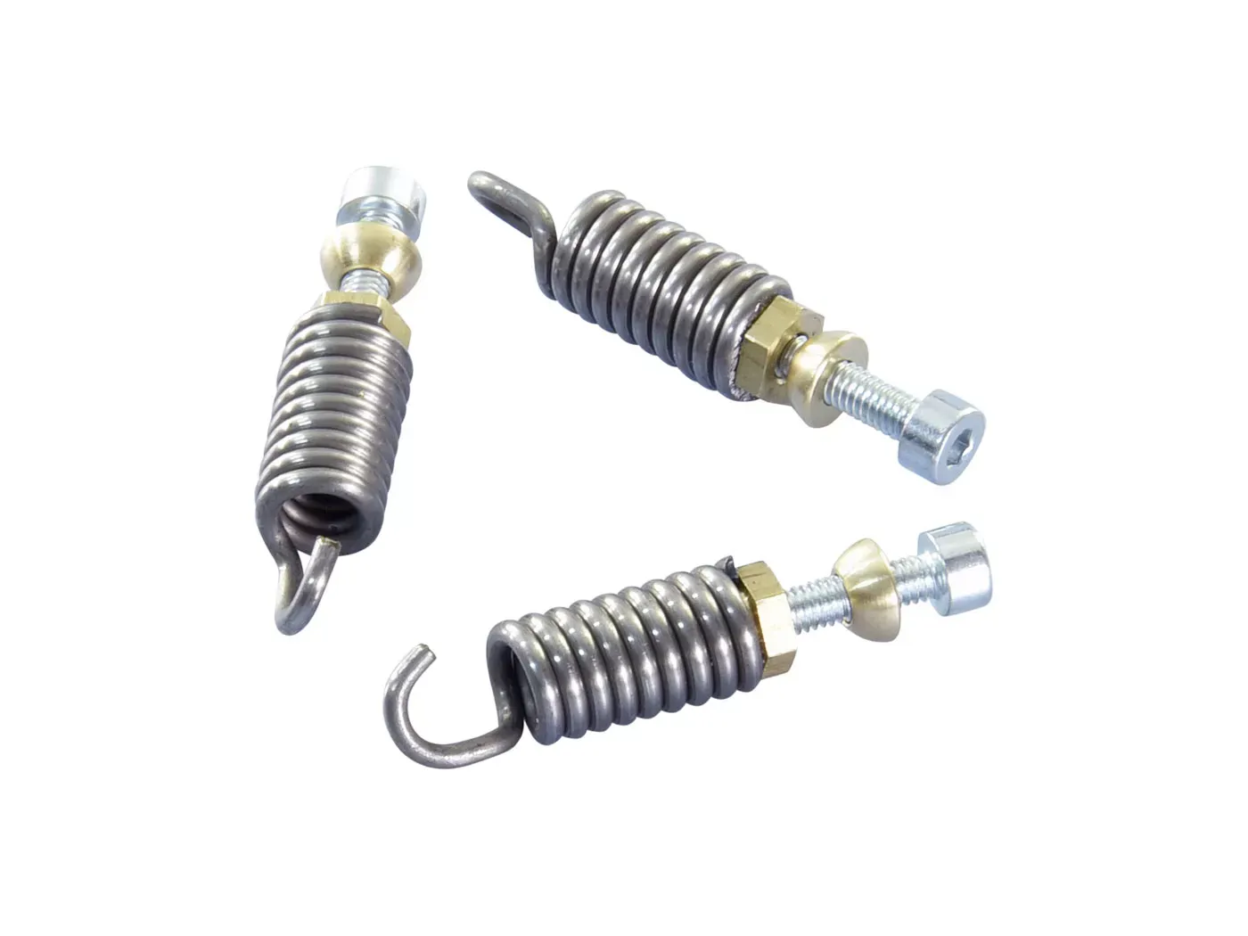Koppelingsveren Set Polini Voor Race 3g Ø2,4mm