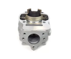 Cilinder 2Fast 70CC Minarelli AM6