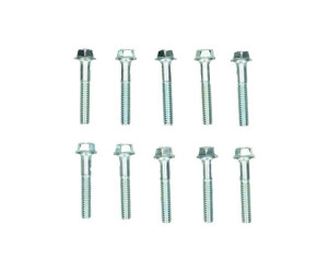 Carter bouten set m6x30 Piaggio 10st.