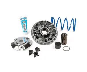 Variateur Polini Maxi Hi-Speed Piaggio 180>300 4T (20x12)