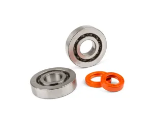 Krukaslagers en keerringen Stage 6 R/T C4 Peugeot E1 - Metalen Kooi