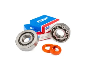Krukaslagers en keerringen Stage 6 R/T C4 Peugeot E2 >2004 - Metalen Kooi