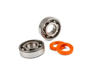 Krukaslagers en keerringen Stage 6 R/T C4 Peugeot horizontaal - Metalen Kooi