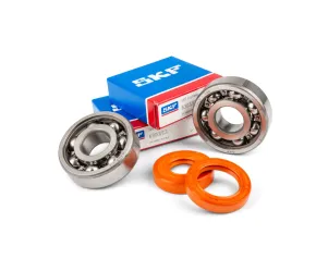 Krukaslagers en keerringen Stage 6 R/T C3 AM6 - Metalen Kooi