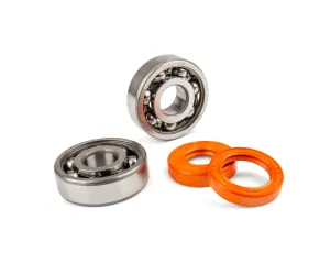 Krukaslagers en keerringen Stage 6 R/T C3 AM6 - Metalen Kooi
