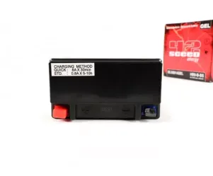 Accu Gel Sceed 42 12n9 4b1 yb9 b 12v 9ah 135x75x139mm Vespa Cosa 200 px efl Elestart Vespa s 50 et4 125cc Gilera Runner fx 125 Piaggio Hexagon nrg Skipper Typhoon 125 x9