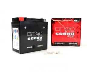 Accu Gel Sceed 42 12n9 4b1 yb9 b 12v 9ah 135x75x139mm Vespa Cosa 200 px efl Elestart Vespa s 50 et4 125cc Gilera Runner fx 125 Piaggio Hexagon nrg Skipper Typhoon 125 x9