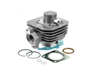Cilinderkit Standaard - Peugeot Ludix