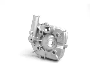 cilinderkop  oem kwaliteit 50 cc  peugeot lc (verticaal)   speedfight1 50 cc lc, speedfight2 50 cc lc, xfight 50