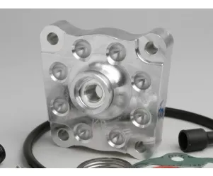 Binnenkop 172 cc racing evolution 2 (54mm) piaggio lc 2 takt