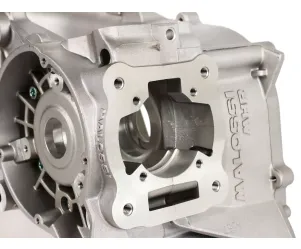 Malossi C-one carter Piaggio lang