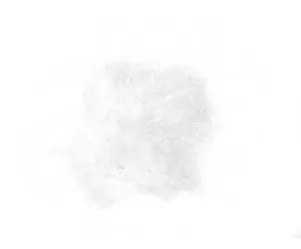 Geluiddemperwol Silent Sport 200g