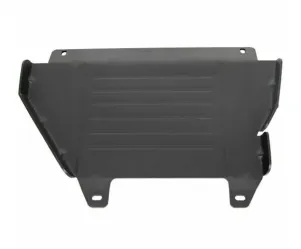 Accudeksel Piagggio Zip C25 Org