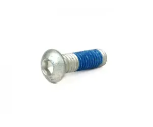 Inbusbout Platte Kop Iso 7380 m6x20mm Gebruikt Voor Remschijf Piaggio Gilera
