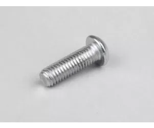 Inbusbout Iso 7380 M8 X 20mm (Stijfheid 10.9)  (Gebruikt Voor Remschijf Aprilia, Cpi, Peugeot, Piaggio, Gilera, Malaguti, Mbk, Yamaha)