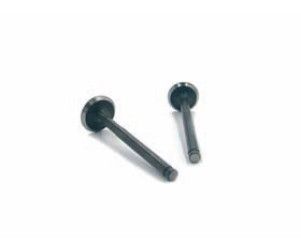 Inlaatklep Gy6 4t 50cc kort (64mm)