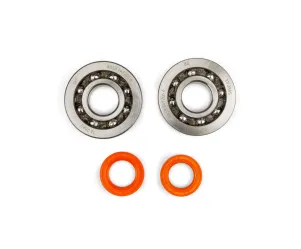 Stage 6 Lagerset met kunstof kooi C4 - Piaggio R/T