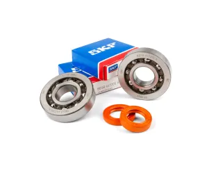 Stage 6 Lagerset met kunstof kooi C4 - Piaggio R/T