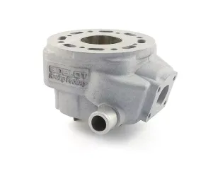 Cilinderkit Bidalot RF50 WR Derbi euro 2 50cc