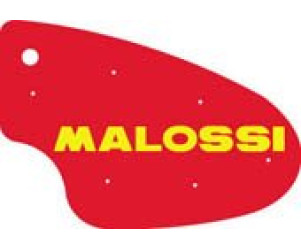 Luchtfilterelement - Malossi - Malaguti Firefox