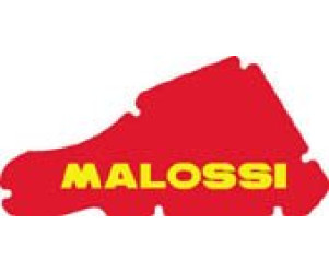 Luchtfilterelement - Malossi - Typhoon / NRG