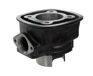 Cilinder Malossi Sport 70cc Piaggio watergekoeld
