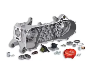 Malossi C-one carter Piaggio lang
