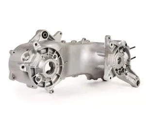 Malossi C-one carter Piaggio lang