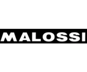 Malossi Sticker woord wit groot