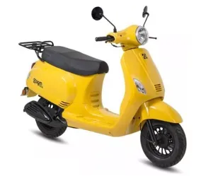 Windscherm AGM VX50 Smoke - B-Kwaliteit