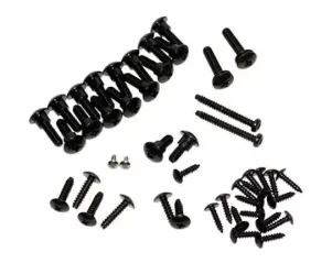 Schroevenset Piaggio Zip (model 2000 2t+4t)