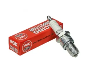 NGK B10EG