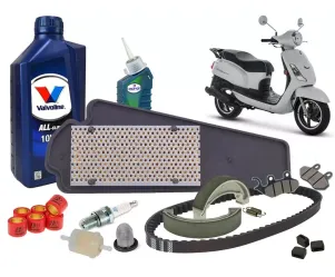 Groot Onderhoudspakket Sym Fiddle II (nieuwe type motor)