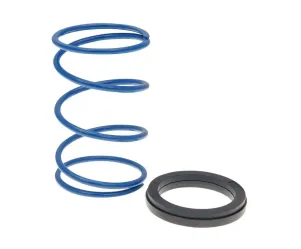 Polini drukveer 30 kg / 4.4 - Evo Slider (Piaggio)