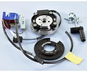 Binnenrotor Polini PVL Digitaal Piaggio 2T