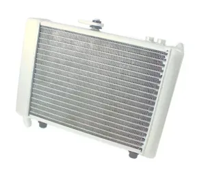 Radiateur - Oversized - Piaggio Zip SP 2000