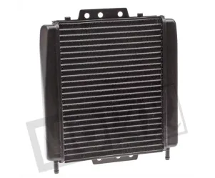 Radiateur Piaggio MP3 en Gilera Fuoco 