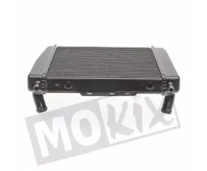 Radiateur Piaggio MP3 en Gilera Fuoco 