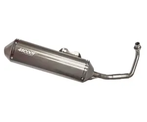 Tecnigas 4Scoot RVS uitlaat Piaggio Zip en Fly 4T 2v