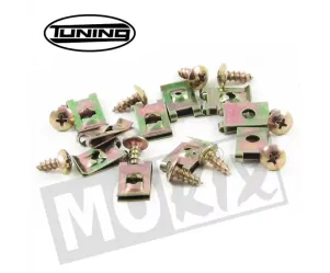 Schroevenset voor scooterkappen - m5 x 12 (10 stuks)