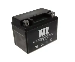 Scooter accu 12v 5Ah (TIP)