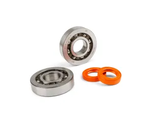 Stage 6 Lagerset met kunstof kooi C4 - Piaggio R/T