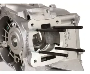 Malossi C-one carter Piaggio lang