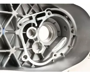 Malossi C-one carter Piaggio lang