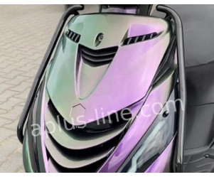 Kappenset Piaggio Zip Dragon Cameleon (glans)