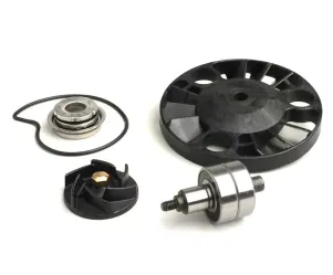 waterpomp reparatieset  rms  piaggio 125 200 cc leader lc (2006 )