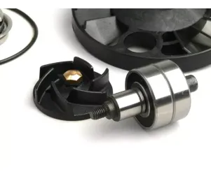 waterpomp reparatieset  rms  piaggio 125 200 cc leader lc (2006 )