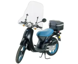 Windscherm Honda Sky