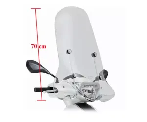 Windscherm Piaggio New Fly - Origineel Piaggio 675070