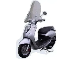 Windscherm Sym Mio Hoog
